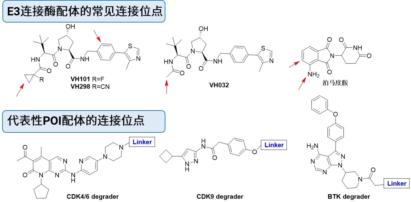 Linker的常见连接位点