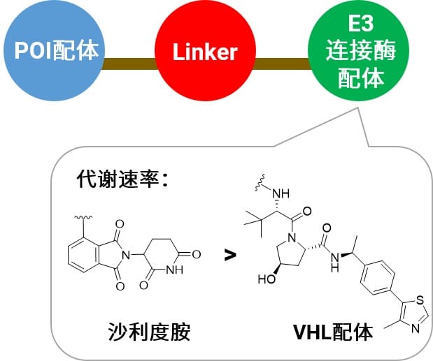 E3连接酶配体对代谢稳定性的影响