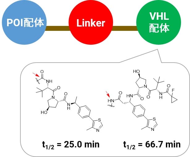 PROTAC的linker连接位点对代谢稳定性的影响