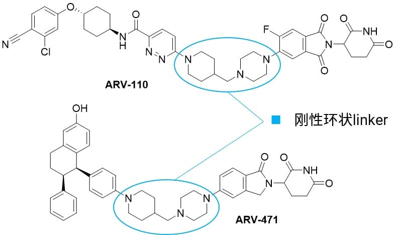 具有刚性环状linker的ARV-110和ARV-471的结构