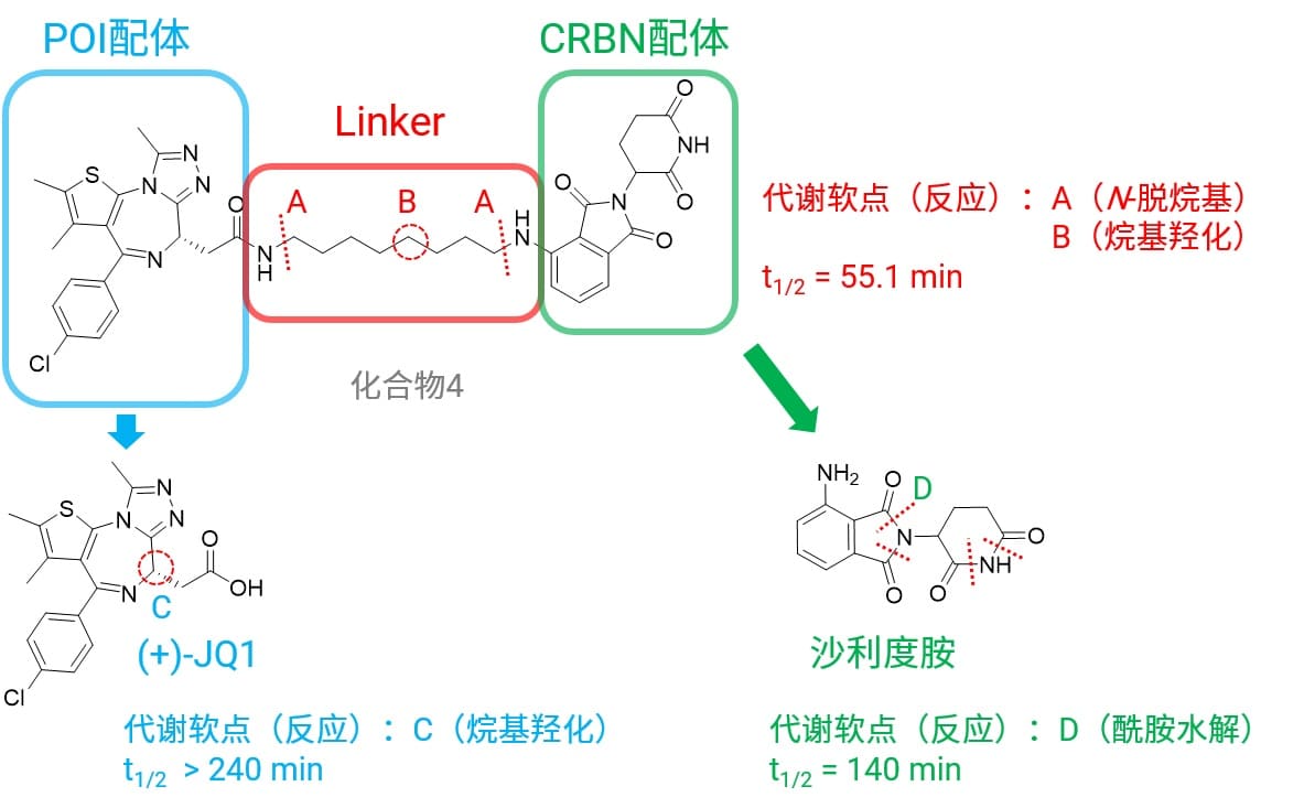 PROTAC代谢特征与其各配体代谢特征的比较