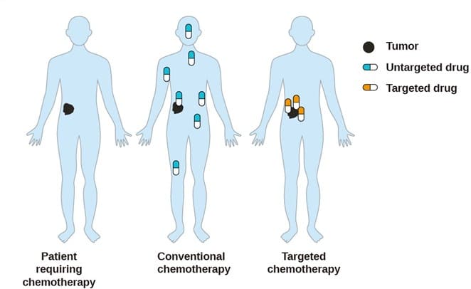 Tumor non-targeted and targeted therapy Tumor non-targeted and targeted therapy