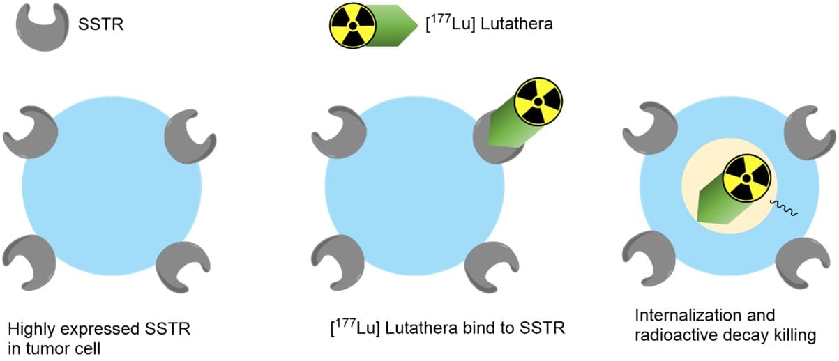 MOA of Lutathera® MOA of Lutathera®