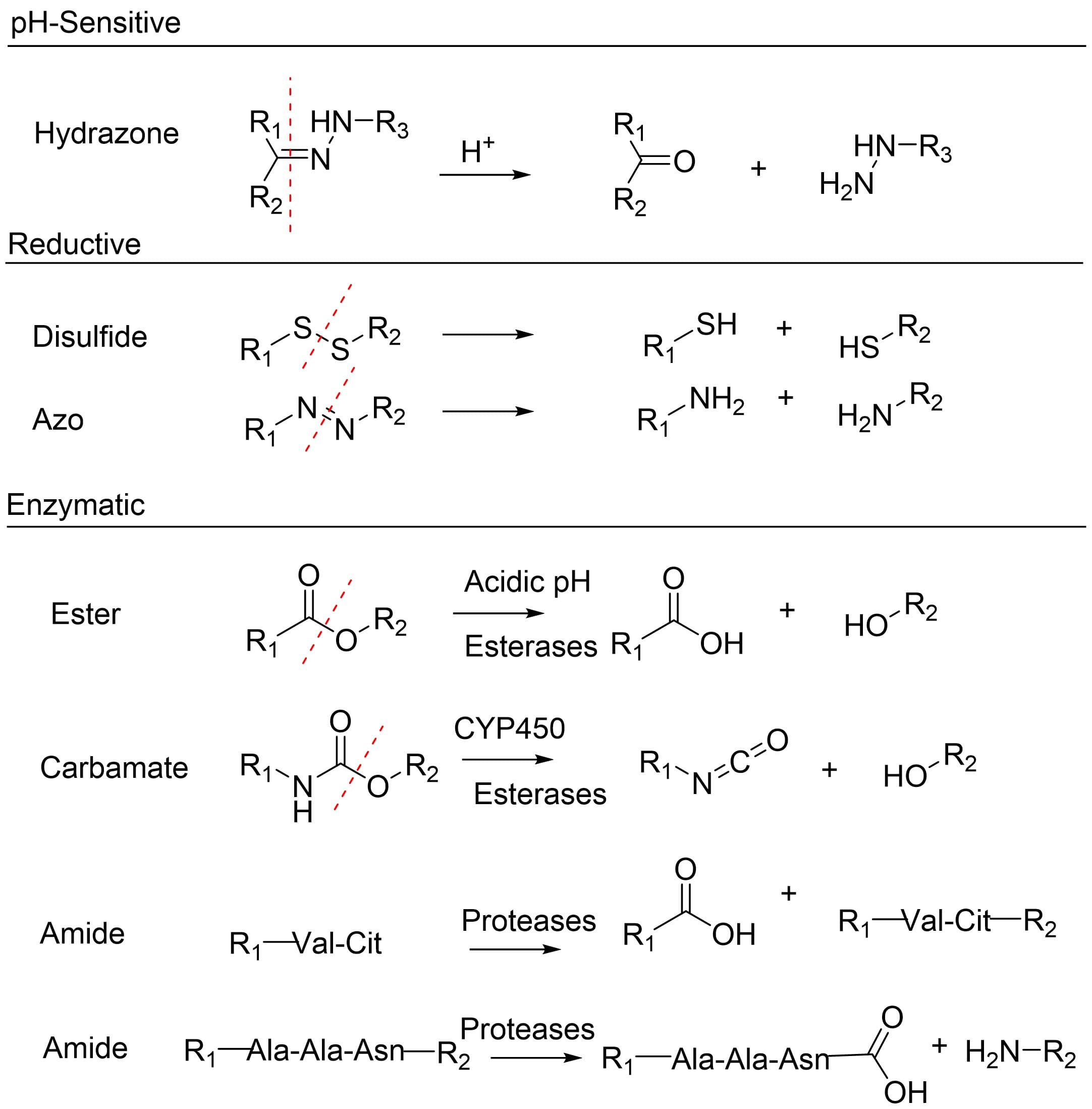 Common linker-cleavage mechanism Common linker-cleavage mechanism