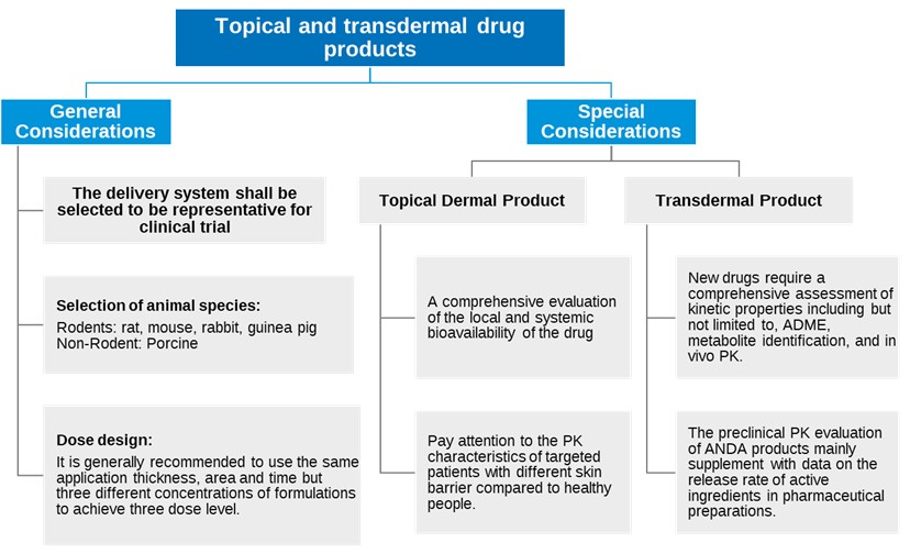 Preclinical Pharmacokinetics Assessment Strategy for Topical and Transdermal Drugs