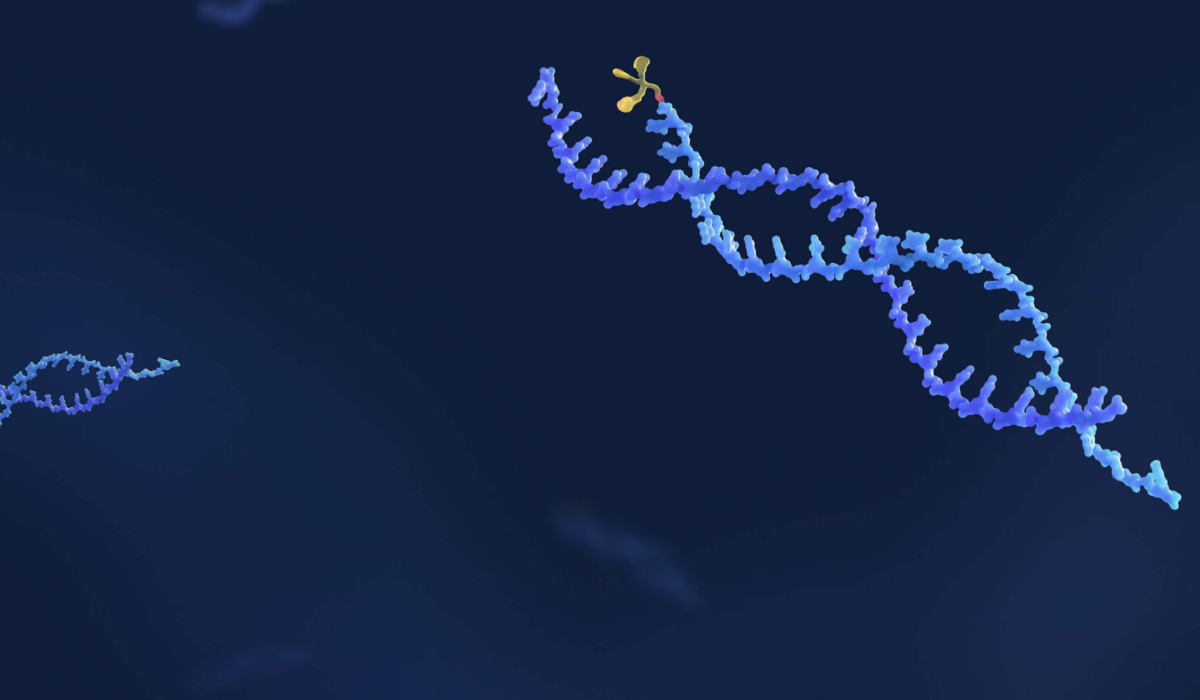 Oligonucleotide.jpg