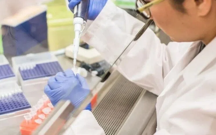 Plasma Protein Binding (PPB) Measurement of High Protein-binding Drugs: Principles and Advantages of the Flux Dialysis Methods