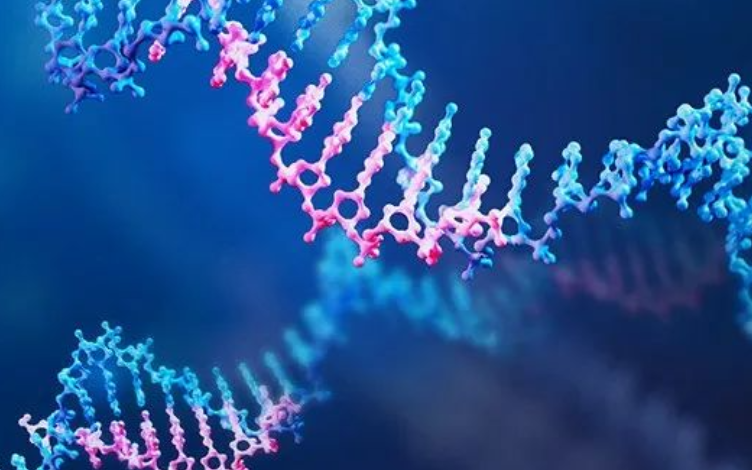 Oligonucleotide Drugs: Strategies for Metabolism and Metabolite Profiling and Identification