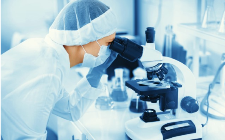  How to Evaluate PROTAC Drug-Drug Interactions with Efflux Transporters