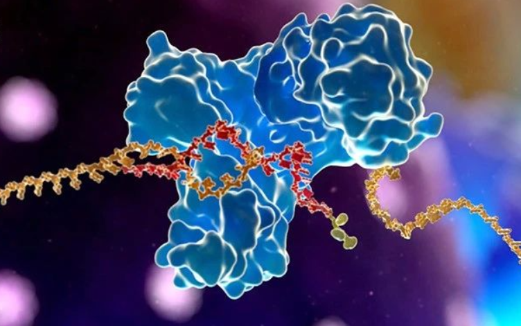 DMPK Quantitative Analysis of Oligonucleotides Using RT-qPCR