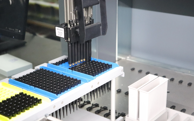 How can Automation Accelerate In Vitro Absorption, Distribution, Metabolism, and Excretion Studies?