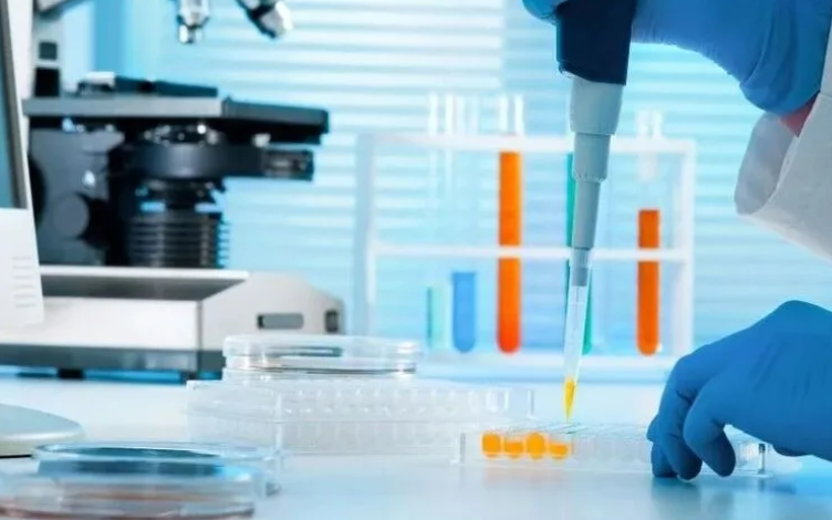 What is Melanin Binding and How to Study It In Vitro?