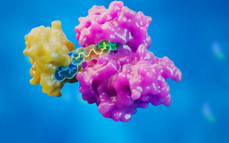 Research on PROTAC Metabolism: Strategies and Main Approaches