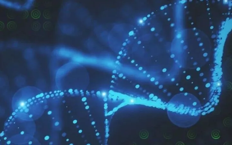 Application of Liquid Chromatography-Fluorescence (LC-FL) Detection Methods for DMPK Quantitative Bioanalysis of Oligonucleotides