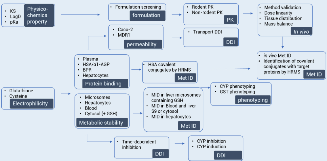 DMPK study strategies for covalent drugs development