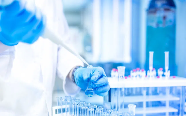 Integrated Bioanalysis Strategies in Non-clinical Early In Vivo PK Studies of siRNAs