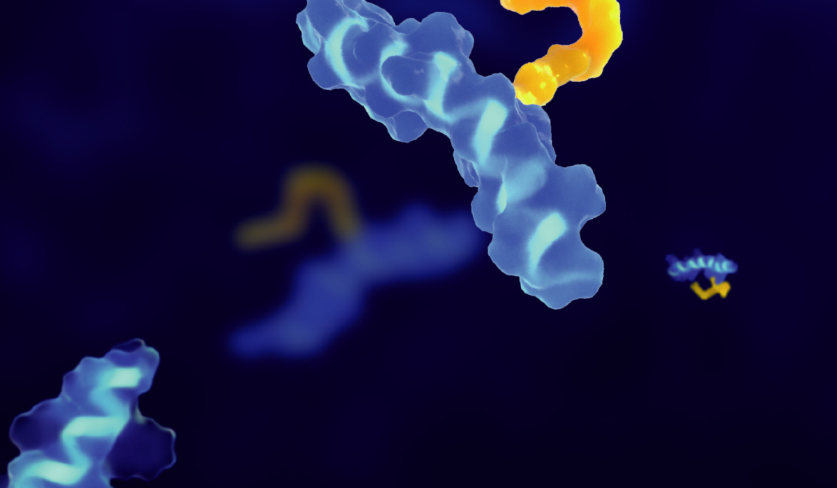 Peptide.jpg