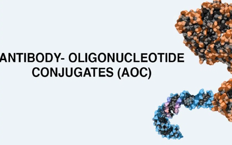 Spotlight on the DMPK and Bioanalysis Strategy of Antibody Oligonucleotide Conjugates (AOCs)