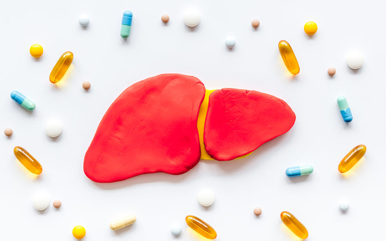 The Role of Hepatic Transporters in Drug-induced Liver Injury (DILI) Research and Preclinical Evaluation Recommendations