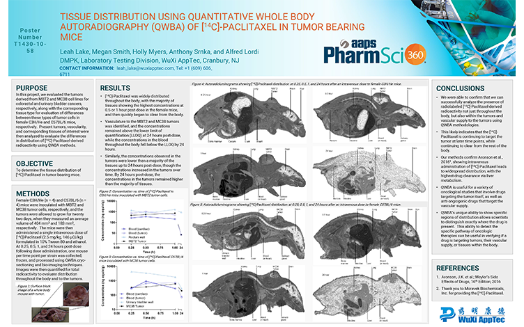 Tissue Distribution Using Quantitative Whole Body Autoradiography (QWBA) of [<sup>14</sup>c]-Paclitaxel in Tumor Bearing Mice