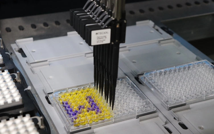 The Strength of Automation: Accelerating In Vitro ADME Studies