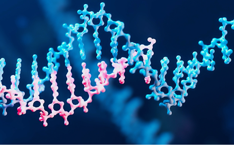 How to Use Ligand Binding Assays (LBA) for DMPK Quantitative Analysis of Oligonucleotide