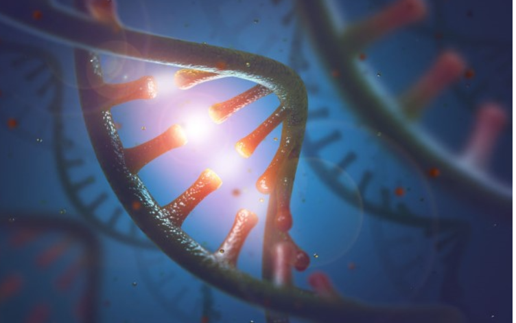 What You Need to Know About the ADME Characteristics of EMA/FDA Approved siRNA Drugs?