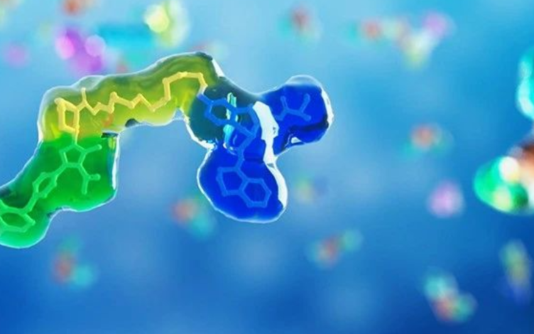 How to Improve PROTACs' Oral Bioavailability