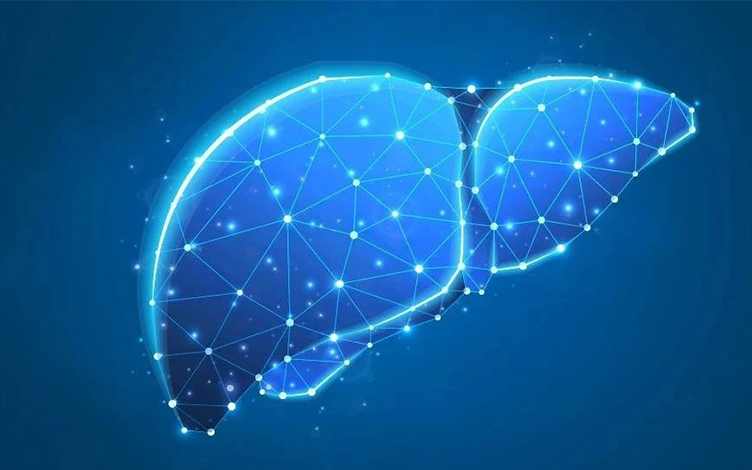 Application and Best Practices of Liver Biopsy in Non-Rodents