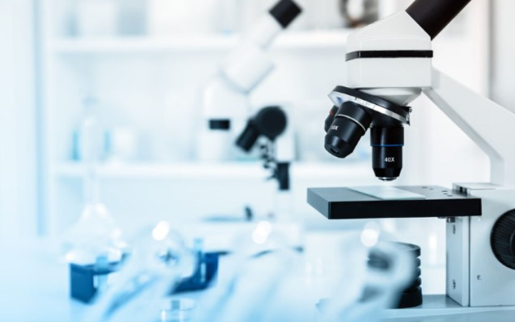 How to Evaluate Lipophilicity Rapidly? The Significance of Reversed-Phase Liquid Chromatography (RP-HPLC)