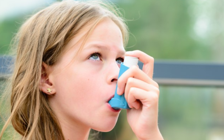 Illuminating the Path of Treating Chronic Obstructive Pulmonary Disease (COPD): Exploring the PK Profiles of Approved Inhaled Medications