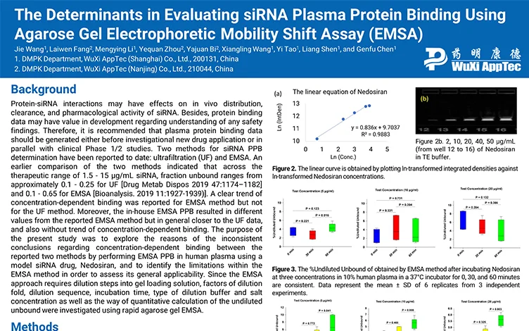The Determinants in Evaluating siRNA Plasma Protein Binding Using Agarose Gel Electrophoretic Mobility Shift Assay (EMSA)