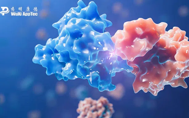 Unlocking High-Throughput Bioanalysis of Covalent Drugs with Intact Protein, DSF, and Peptide Mapping Techniques