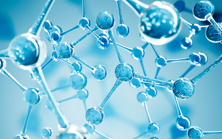 Insights into Chiral Drug Metabolism and Inversion