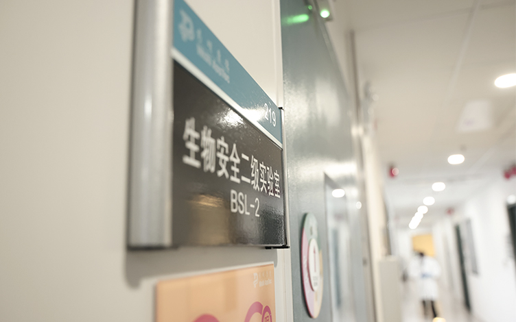 How Biosafety Level 2 Labs Ensure Safe and Compliant In Vitro ADME Studies