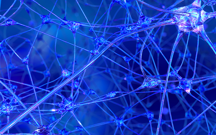 Effective Intrathecal Injection/Catheterization in Rats for CNS Drugs: Challenges and Strategies