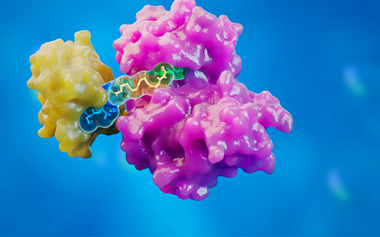 Sample Chapter: Proteolysis-Targeting Chimeras (PROTACs)  from Drug Metabolism and Pharmacokinetics: Frontiers, Strategies, and Applications