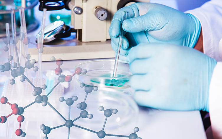 More Accurate Prediction of Human Pharmacokinetic Parameters for Small Molecule Compounds: Methods, Models, and Applications