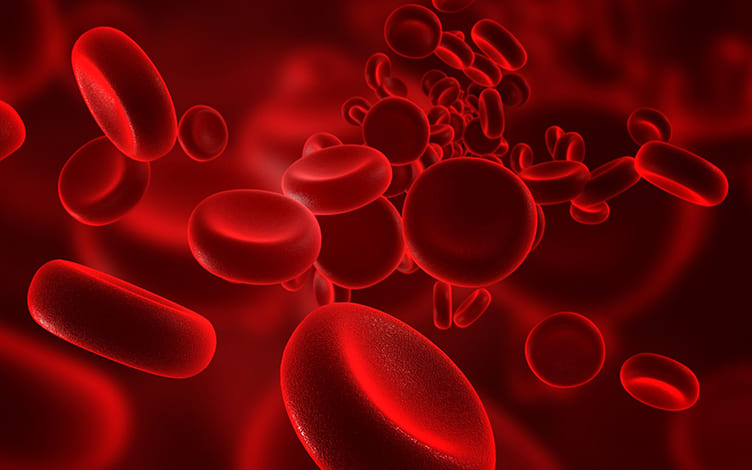 Decoding the Key Role of Plasma Protein Binding in Drug-Drug Interactions
