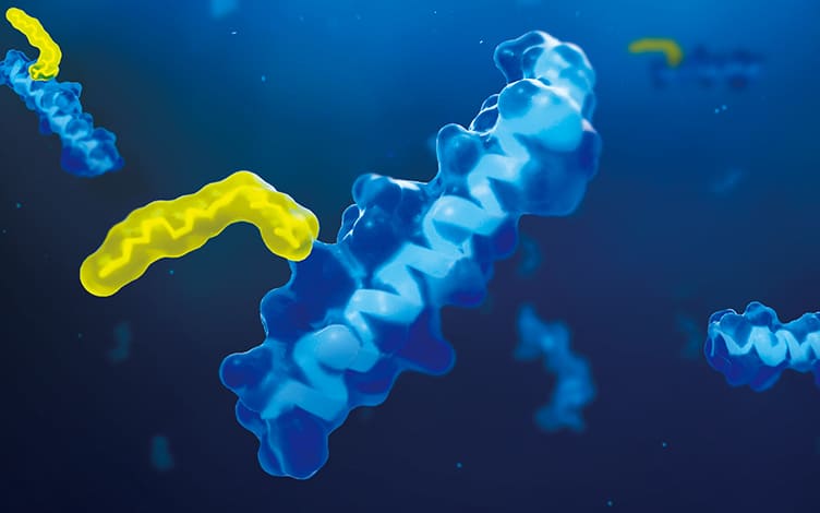Evaluating Oral Peptides' Gastrointestinal Absorption: Methods and Applications