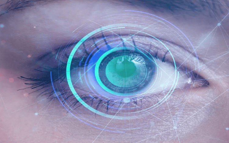 Approved Ophthalmic Protein Drugs and Their Preclinical Pharmacokinetic Considerations