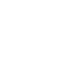 大脑切片.png