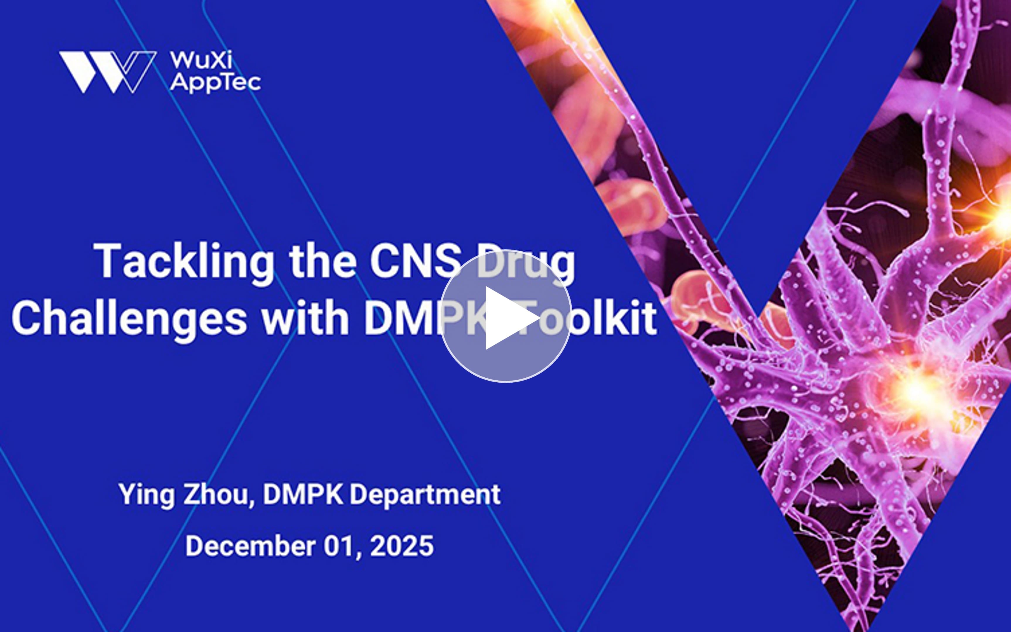 Tackling the CNS Drug Challenges with DMPK Toolkit