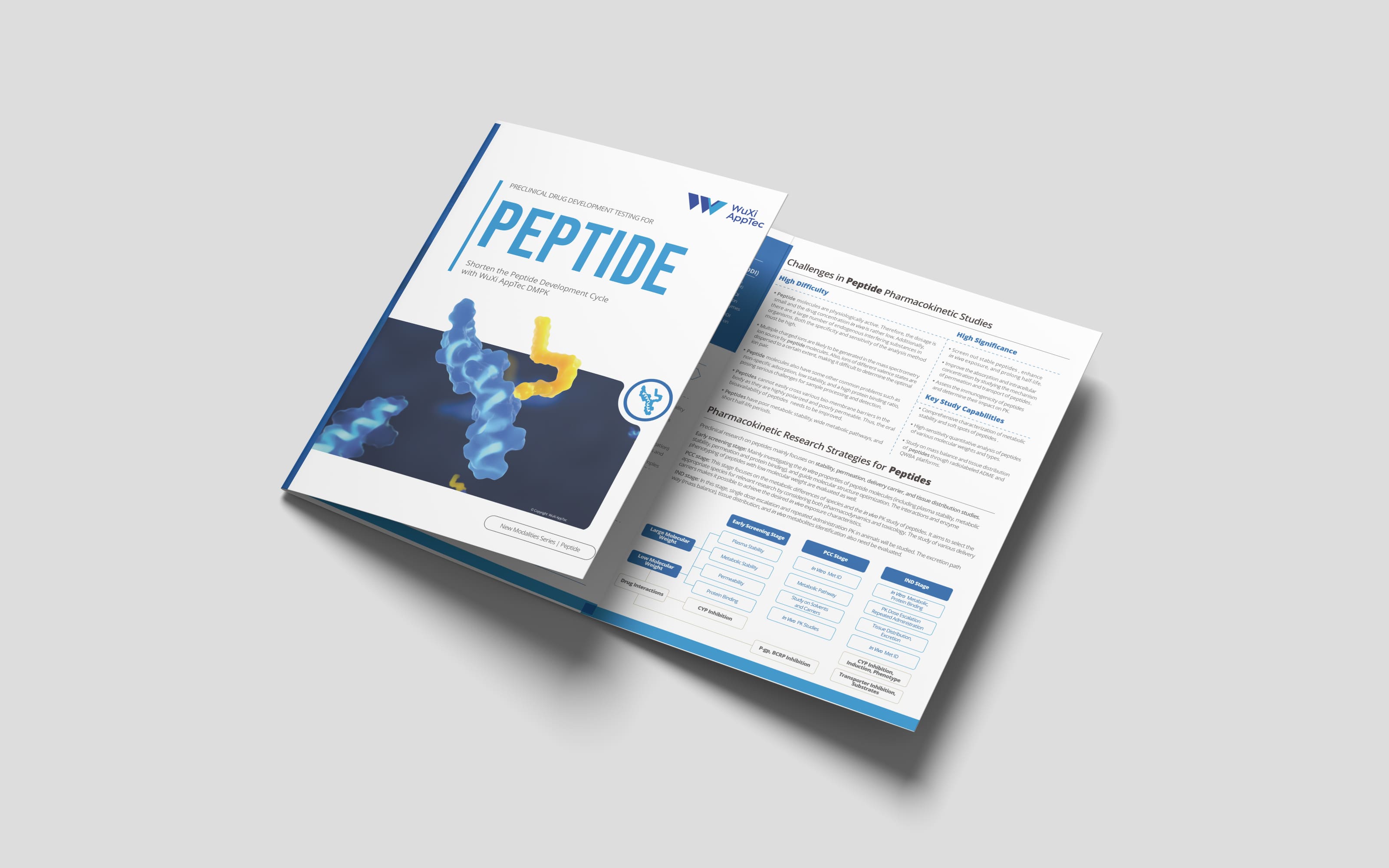 Preclinical-drug-development-testing-for-Peptide.jpg