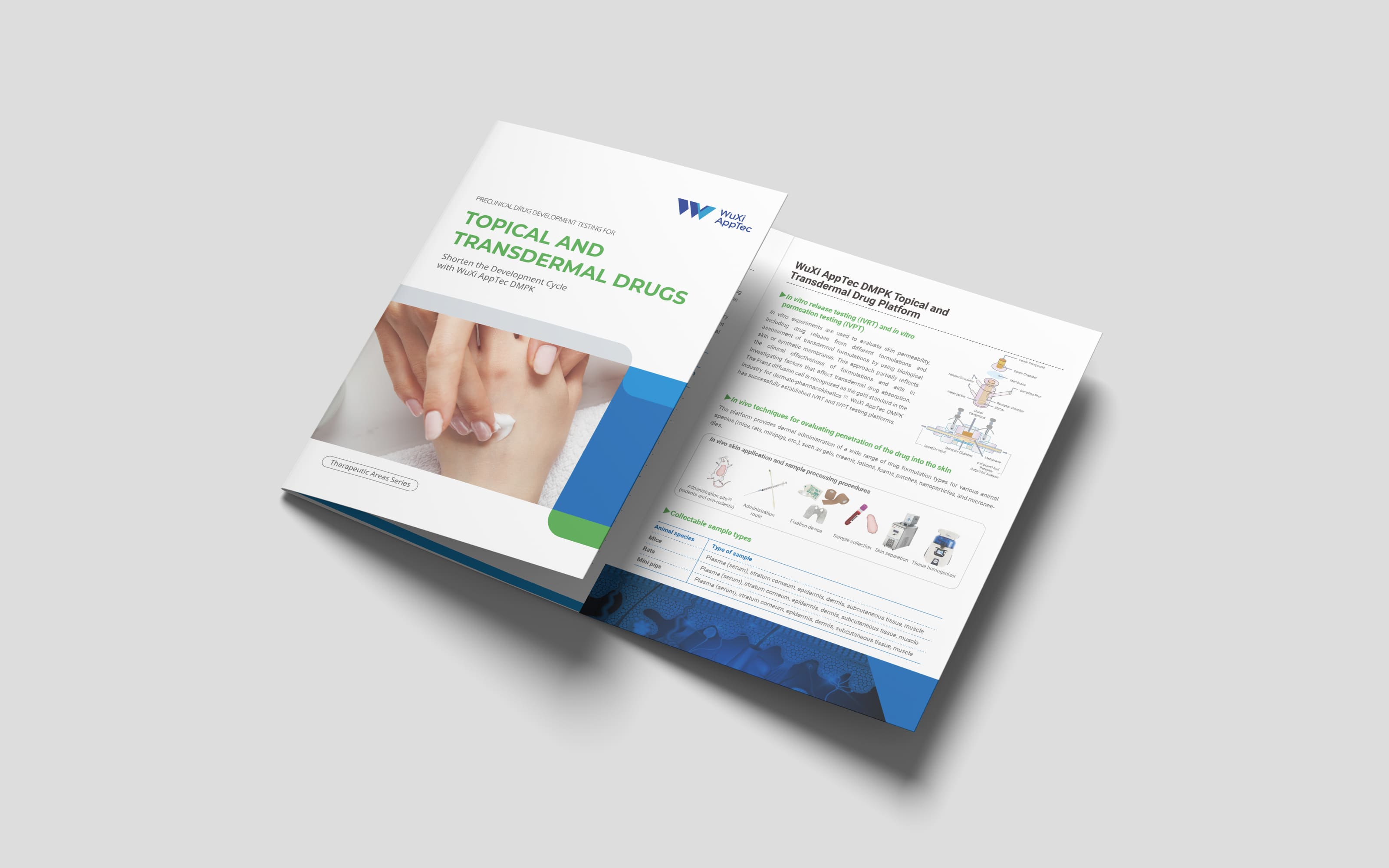 Topical-and-Transdermal-Drugs-DMPK-Services.jpg