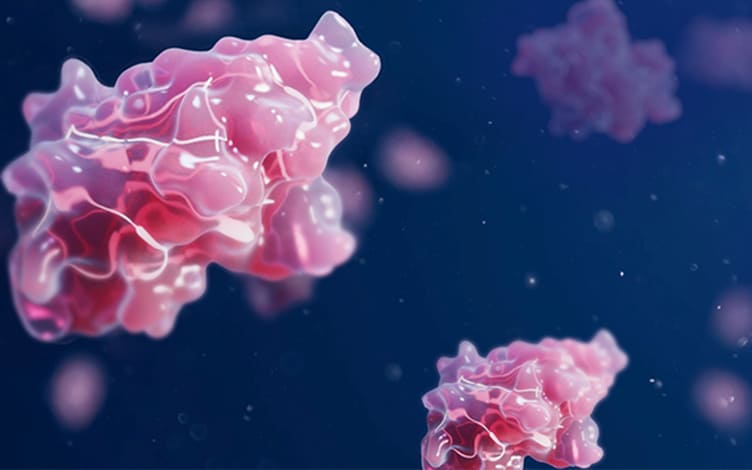 Approved Antibody Fragments and DMPK Strategies: Fab, scFv, and VHH