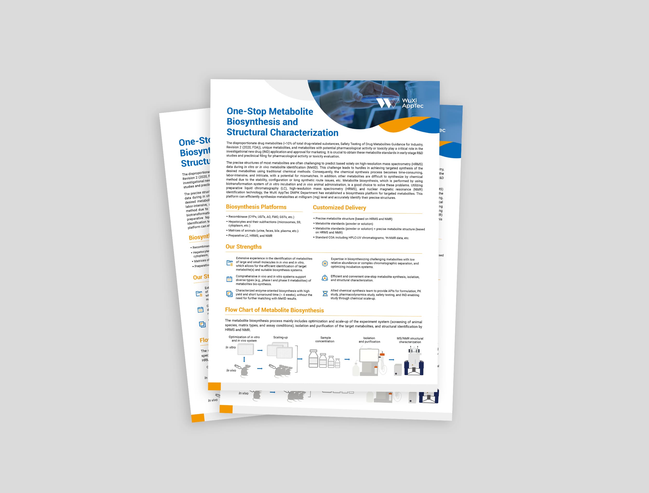 Factsheet - One-stop-Metabolite-Biosynthesis-and-Structural-Characterization.jpg