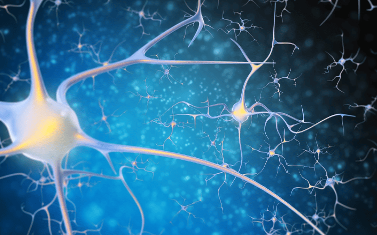 CNS Delivery: Novel Technologies, Exposure Evaluation, and Humanized Models