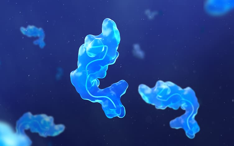 Overview of Peptide Drugs: Definition, Development, Characteristics, and DMPK Research Strategies