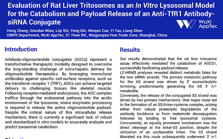 Evaluation-of-Rat-Liver-Tritosomes-as-an-In-Vitro-Lysosomal-Model-for-the-Catabolism-and-Payload-Release-of-an-Anti-TfR1-Antibody-siRNA-Conjugate.jpg